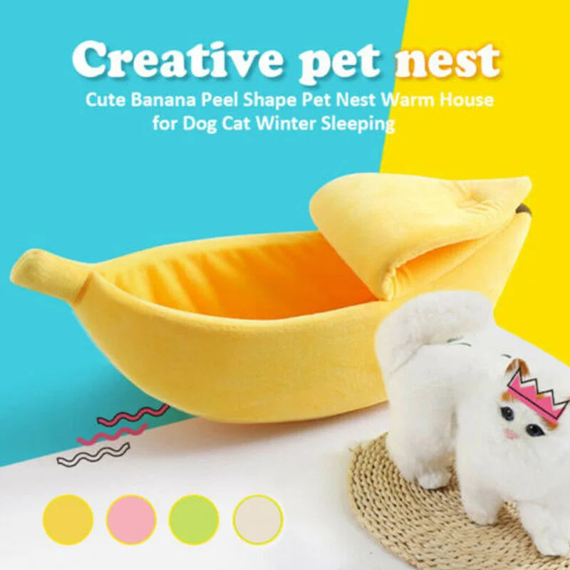 cute bed for pet