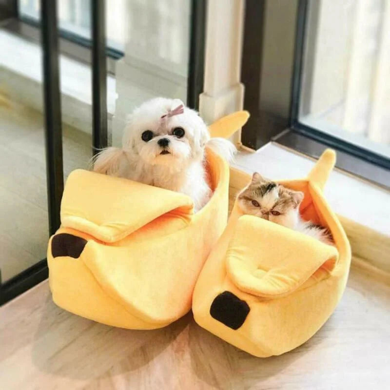 cute bed for pet