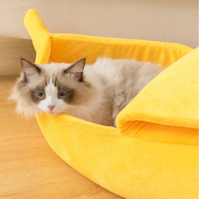 cute bed for pet