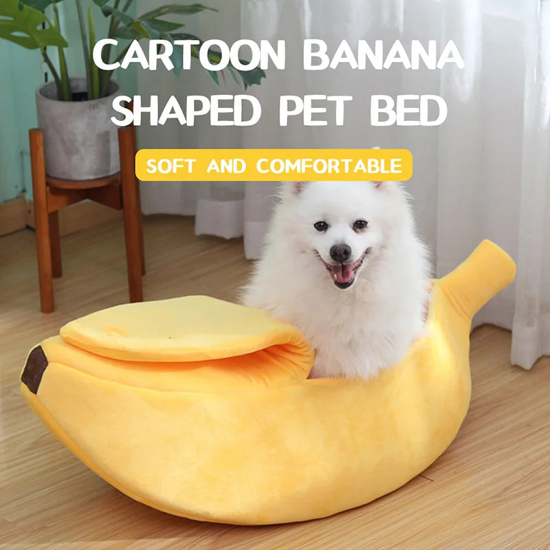 cute bed for pet