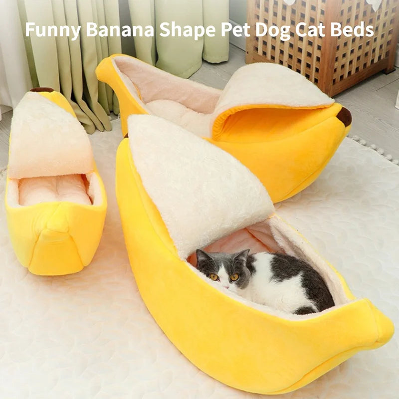 cute bed for pet